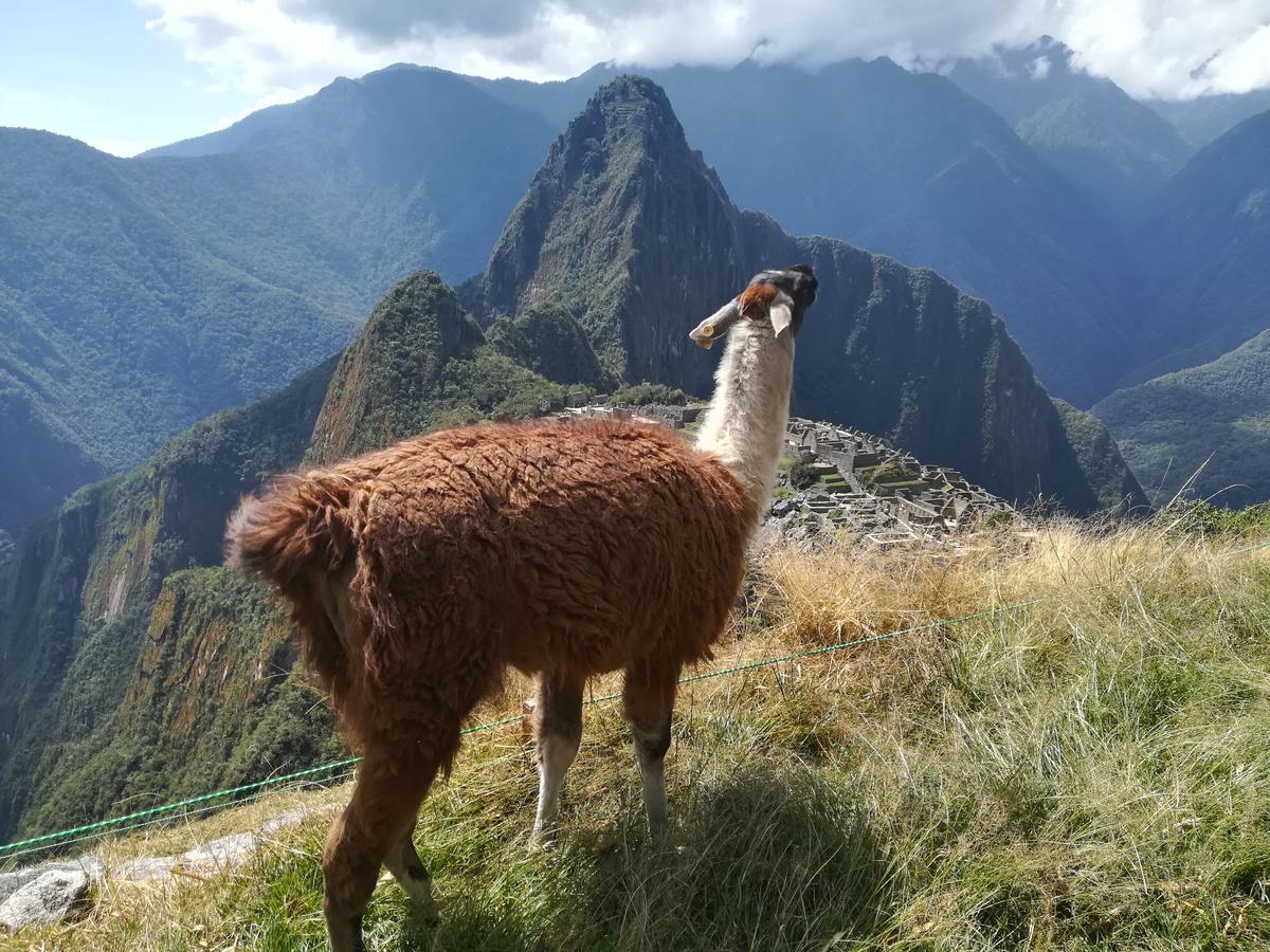 מלון Golden Sunrise Machupicchu מראה חיצוני תמונה